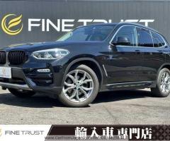 BMW X 2019